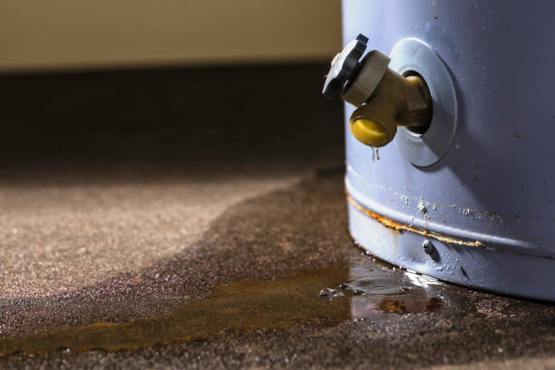 Best Professional water damage repair  in Mineral Wells, TX