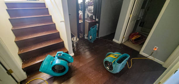 Best Water damage restoration services  in Mineral Wells, TX