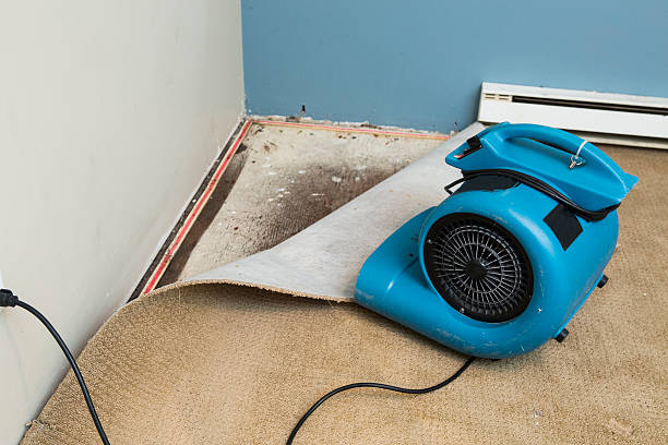 Best Residential water damage restoration  in Mineral Wells, TX